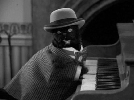 Ver tocar el piano a mi gato, fue mucho más divertido que ver RAW. Si, mi gato toca el piano