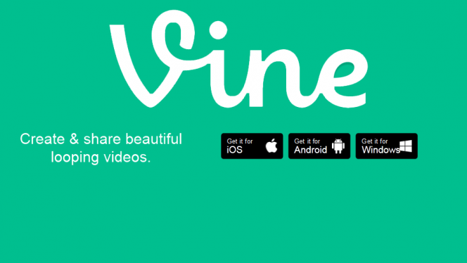 Vine-for-Windows-Phone1-664x374